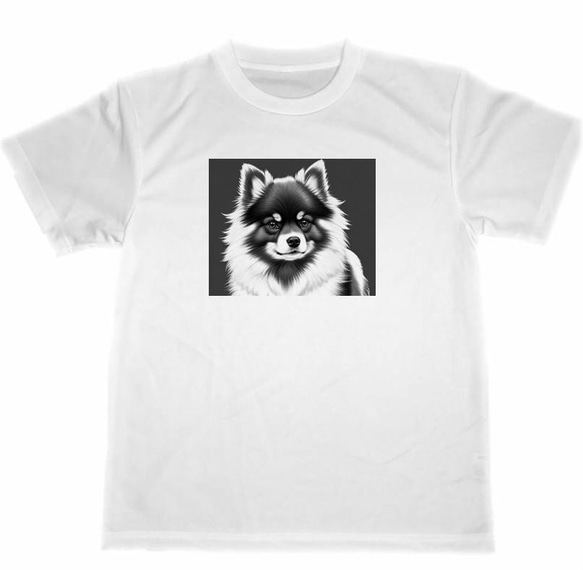 ポメラニアン　ドライ　Tシャツ　イラスト　アート　犬　グッズ　Pomeranian　DOG