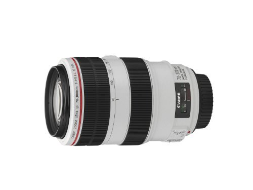 Canon 望遠ズームレンズ EF70-300mm F4-5.6L IS USM フルサイズ対応【中古品】