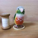 羊毛フェルト＊ホオミドリアカオウロコインコ＊＊送料無料