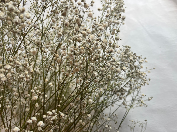 ドライフラワー　花材　素材　かすみ草✿3本セット