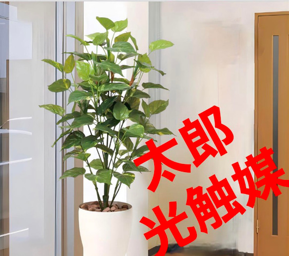 光触媒　人工観葉植物　ウォールグリーン　フェイクグリーン　ポトス1.0