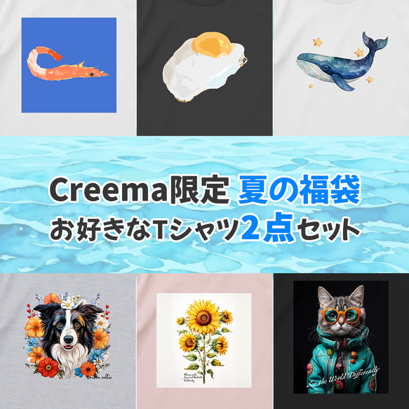 夏の福袋[Creema限定]選べる2枚セット_レディースTシャツ