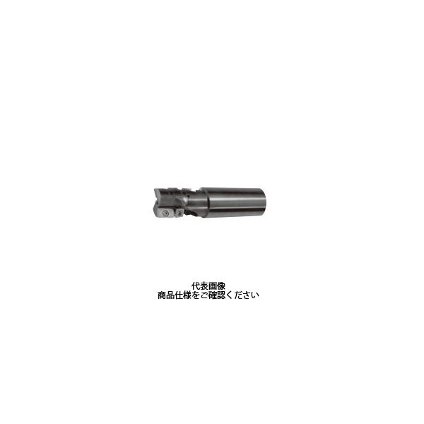 タンガロイ TACカッター(KB) ELP13025RA 1箱(1個)（直送品）