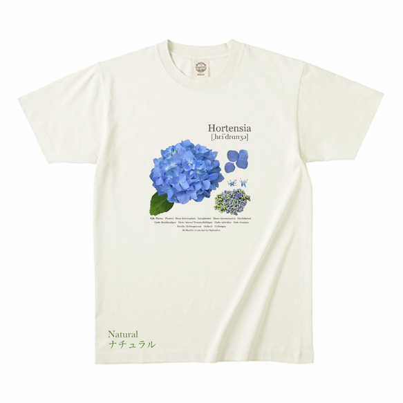 台風の時の雨にも風にも負けない紫陽花のオーガニックコットン100%Tシャツ。