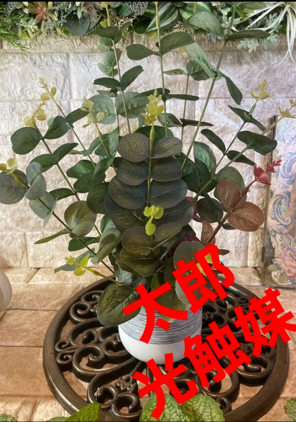 光触媒　人工観葉植物　ウォールグリーン　フェイクグリーン　ユーカリ3色