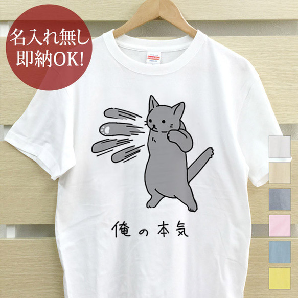 俺の本気 グレー猫 ネコパンチ ねこ 動物 レディース メンズ Tシャツ おもしろTシャツ 綿100%  即納