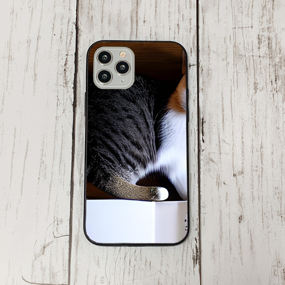 iphoneケース3-5-1 iphone 強化ガラス 猫・ねこ・ネコちゃん 箱16 かわいい アイフォン iface