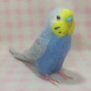 リアルサイズ♪ セキセイインコ レインボ－ライラック budgie 虎皮鸚鵡 羊毛フィギュア 羊毛フェルト 鳥のオブジェ リアルバード 受注制作