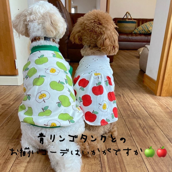 犬服‼︎レースニットと赤リンゴのワンピ☆XS.S.M