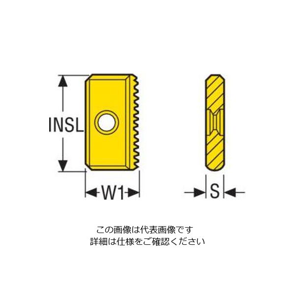 Seco Tools フライス ねじ切り用チップ 17XMS