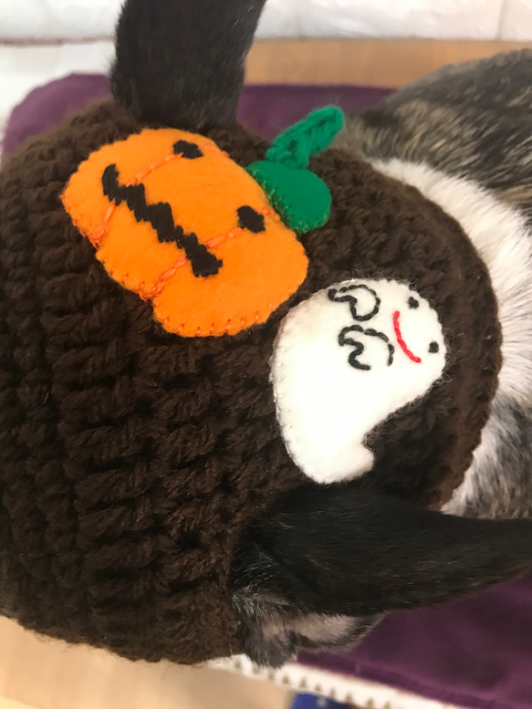 ペット用ハロウィン帽子