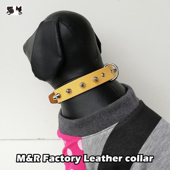 M&R Factoryヌメ革イエロ―首輪0106【ボストンテリア】【フレンチブルドッグ】【パグ】