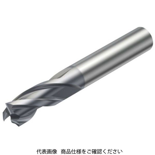 サンドビック（SANDVIK） ソリッドエンドミル 1P251