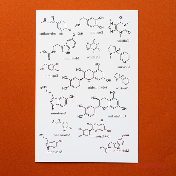 化学構造式　タトゥーシール