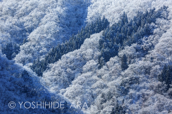 【額装写真】霧氷に煌く山肌