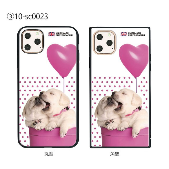 ガラス保護フィルム付 iPhone 11 Pro Max ケース 【DOG】