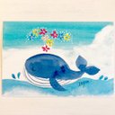 ????透明水彩画「のんびりクジラ」イラストポストカード２枚セット  暑中見舞い くじら 夏 マリン　海　残暑見舞い　癒し????