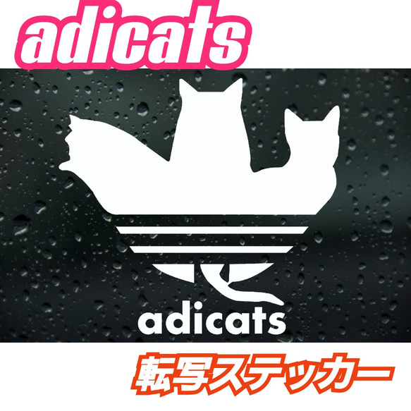 面白ステッカー　adicats