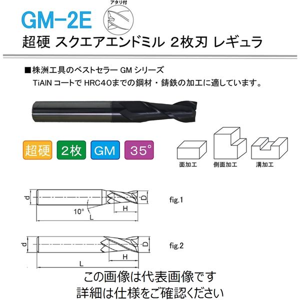 株洲ダイヤモンド切削工具 超硬 スクエアエンドミル 2枚刃 レギュラ GM-2E-D16.0 1本（直送品）