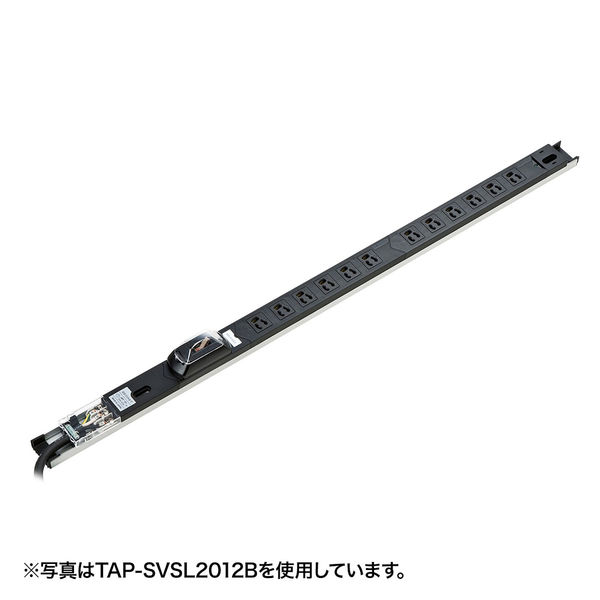 サンワサプライ 19インチサーバーラック用コンセント（30A） TAP-SVSL3012B（直送品）