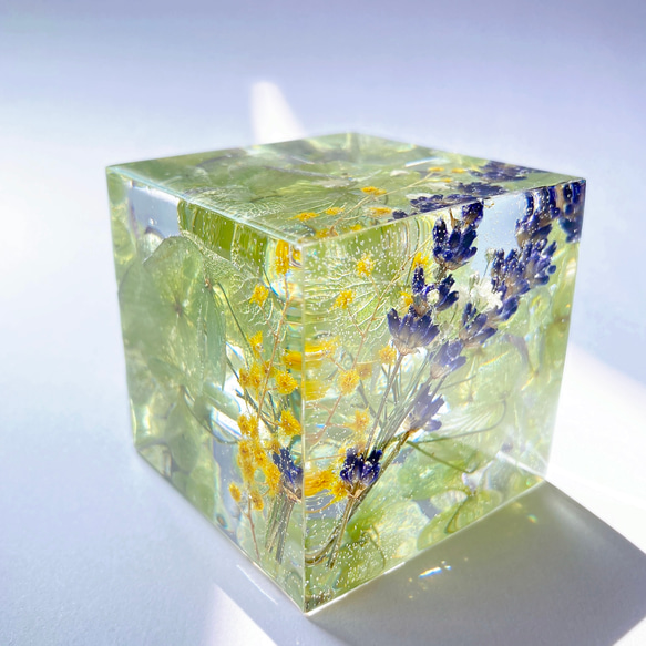 【 flower cube アジサイ】透明感が美しい　本物のお花をレジンに閉じ込めた　 キューブ型インテリア雑貨　＜L＞