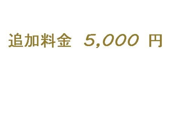 オーダー追加料金 5,000 円