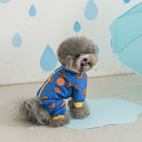 犬服 犬用レインコート 雨具 かっぱ 防雨 防風 春 秋 冬 梅雨 アウター 防寒着 かわいい ペット用品 お散歩