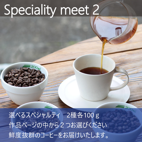 スペシャリティコーヒー 選べる100g×2種 お試し飲み比べセット your roaster