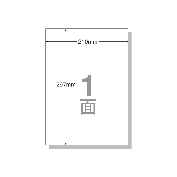 エーワン PPC(コピー)ラベル A4 ノーカット 20枚 F805901-28195