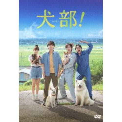 【DVD】犬部!(通常版)