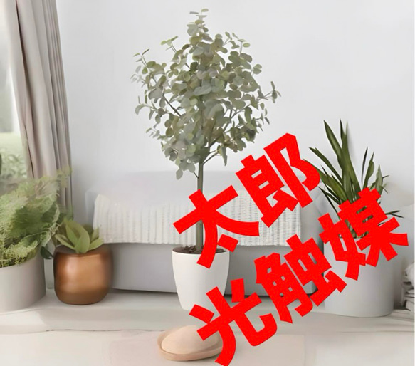 光触媒　人工観葉植物　ウォールグリーン　フェイクグリーン　ユーカリツリー1.65