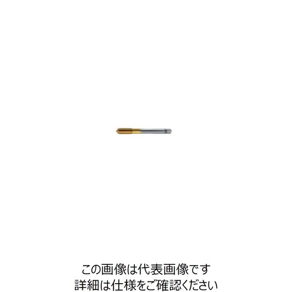 グーリングジャパン（GUHRING） フルートレスタップ #4443 4443 10 1セット（2本）（直送品）