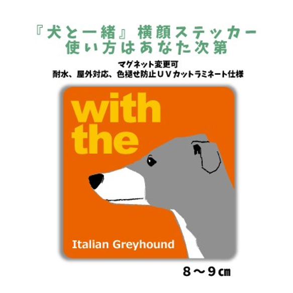 イタリアングレイハウンド イタグレ DOG IN CAR 横顔ステッカー『犬と一緒』車 玄関 名入れ