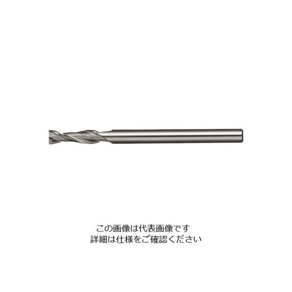 日進工具 NS 樹脂用エンドミル φ0.1X0.3X1 RSE230 0.1X0.3X1 1本 148-1289（直送品）