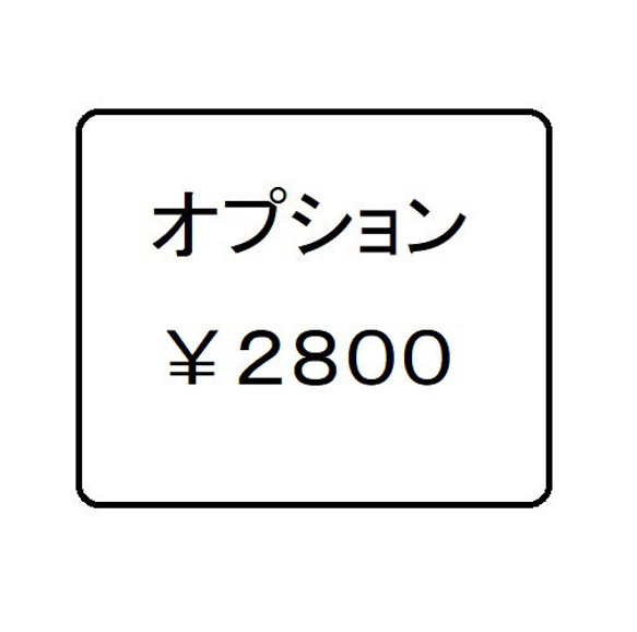 オプション　２８００円