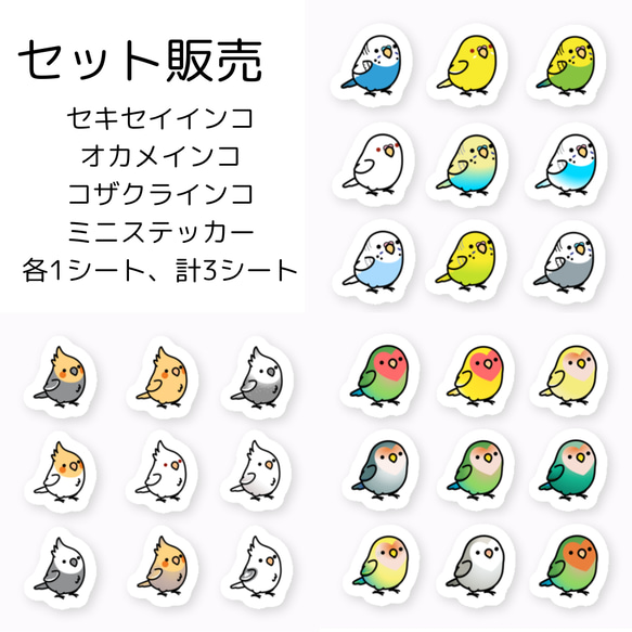 防水仕様 セキセイインコ　オカメインコ　コザクラインコ ステッカーセット　PVC厚手素材  ミニ Chubby Bird