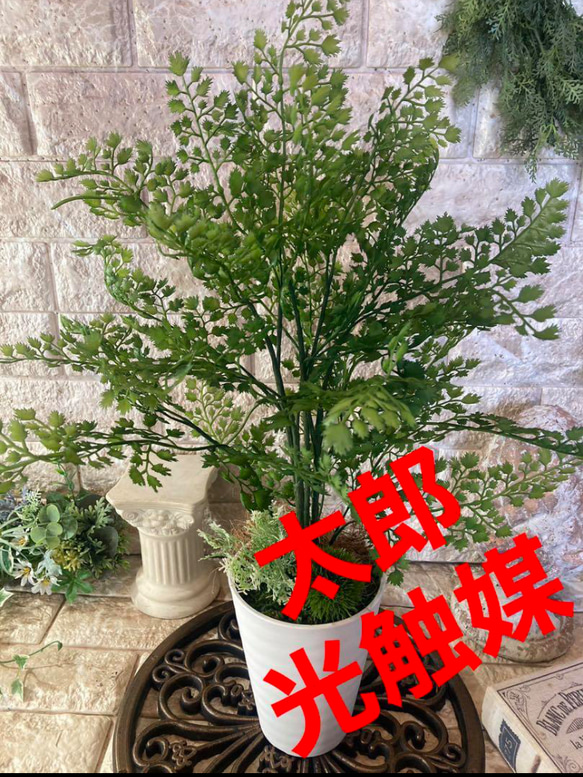 光触媒　人工観葉植物　ウォールグリーン　フェイクグリーン　アジアンタムポット