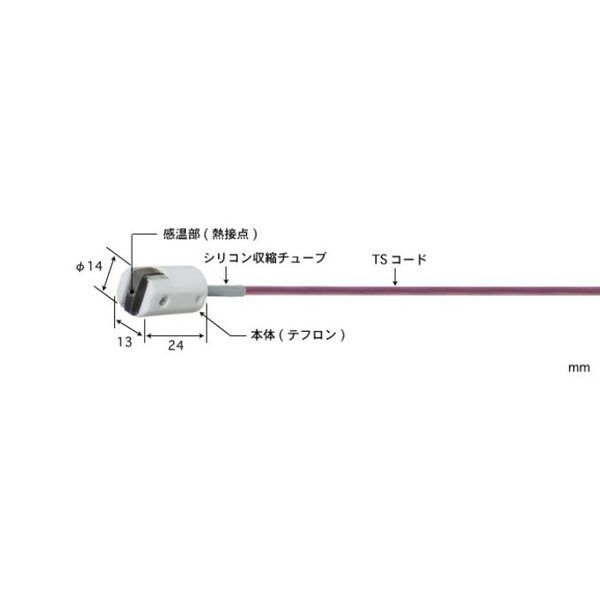 MG-21K-TS1-ASP（直送品）