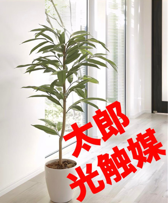 光触媒　人工観葉植物　フェイクグリーン　アムステラバーキング 1.2m