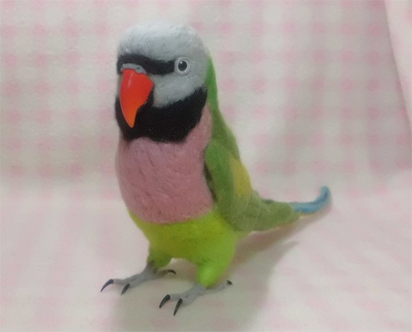 羊毛フェルト ライフサイズ  ダルマインコ Red- breasted Parakeet 受注作成　うちのこオーダー可能