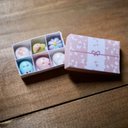 ミニチュア箱に入った春色和菓子