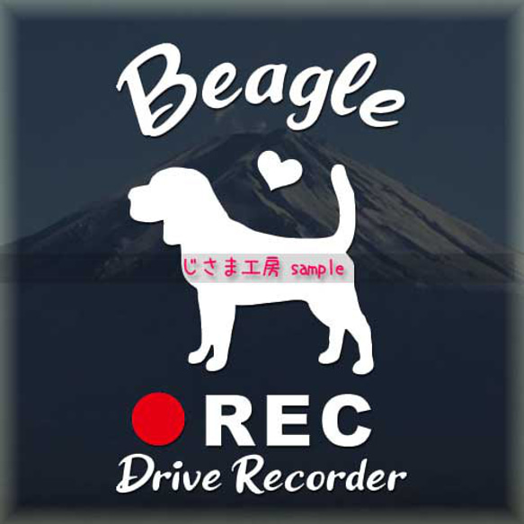 わんちゃんの可愛いドラレコステッカー!!『DRIVE　RECORDER』