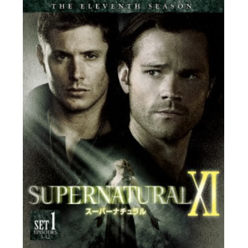 【DVD】SUPERNATURAL[イレブン]後半セット