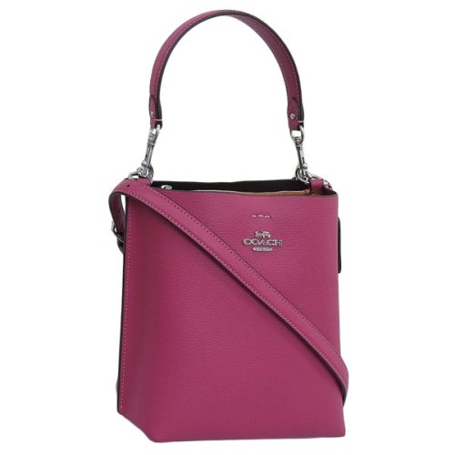 COACH コーチ MOLLIE BUCKET BAG 22 モリー バケット バッグ ハンド バッグ 斜めがけ ショルダー バッグ 2WAY