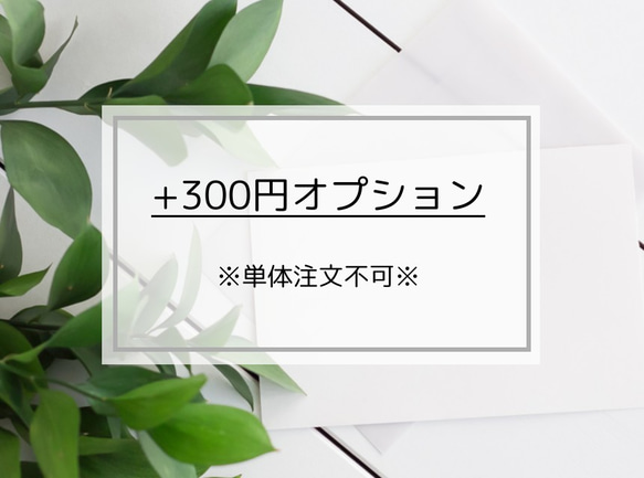 【条件あり】＋300円オプション