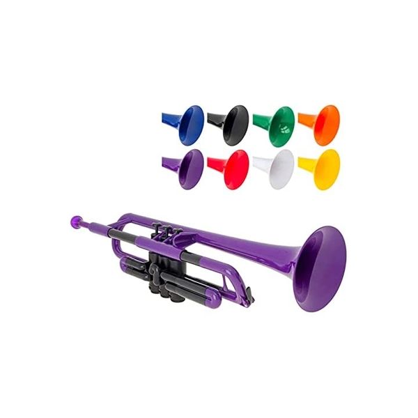 Warwick Music トランペット PTRUMPET1P / PURPLE 1箱(1個入)（直送品）