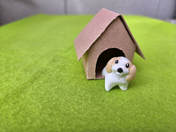 ちっちゃな小屋犬