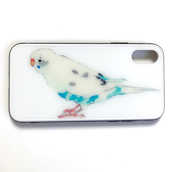 p-jet　セキセイインコ 白ハルクイン　（強化ガラス　スマホケース）iPhone 15 /  鳥 インコ