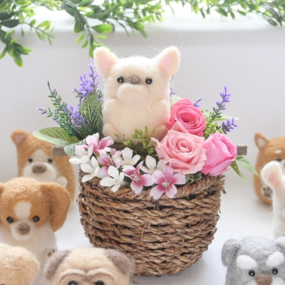 【チワワ】プリザーブドフラワー 羊毛フェルト 犬 花 ペット 母の日 フラワー 誕生日 置物