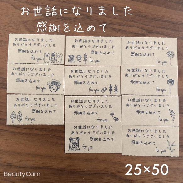 25×50サイズ　ミニ　お世話になりましたシール　感謝を込めて　手書き風　アート